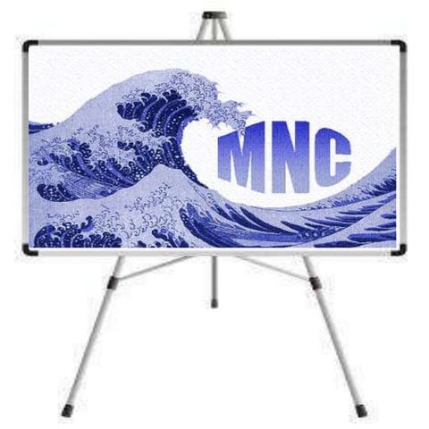 Role of mnc’s in organized retail format