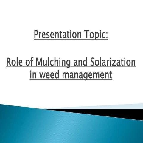 Role of mulching and solarization in weed management | PPTX