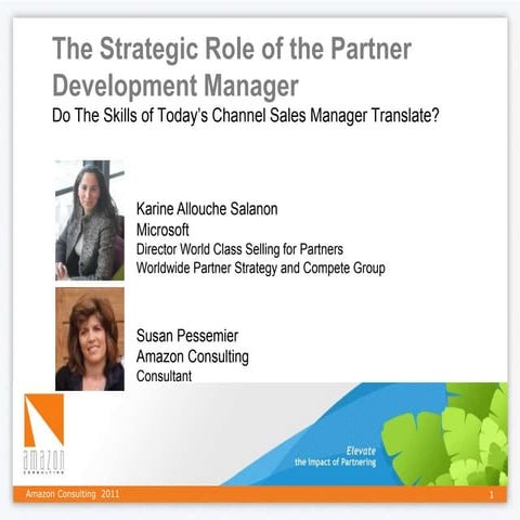 The Strategic Role of the Partner Development Manager