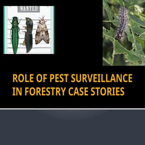 Pest Survey and Surveillance.pptx