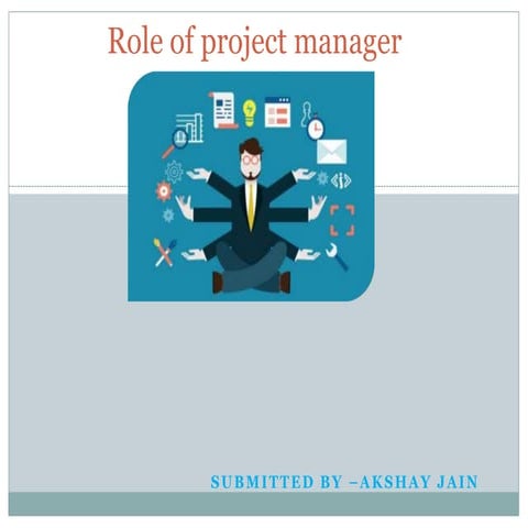 Roles of project manager