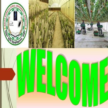 Role of protected cultivation in fruit crops