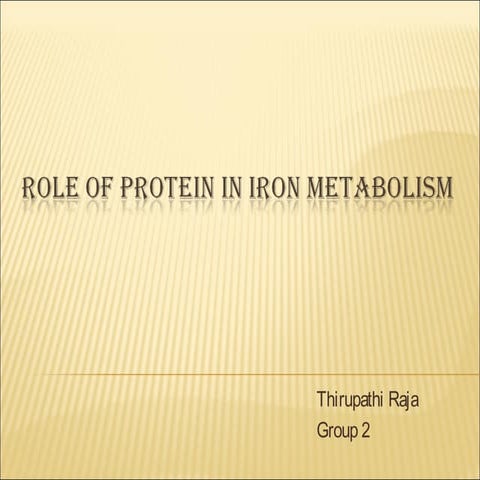 Role of protein in iron metabolism