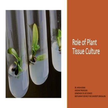 METHODS IN GENE TRANSFER TECHNIQUES | PDF