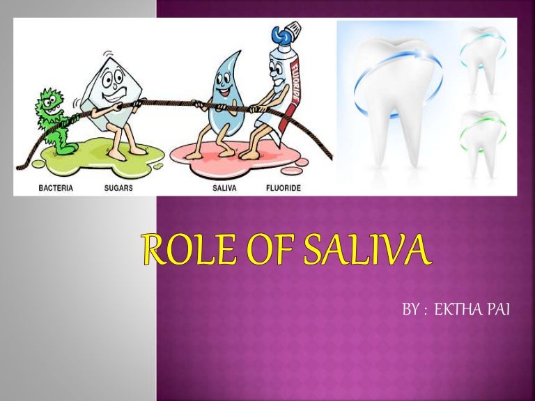 Role of saliva ektha