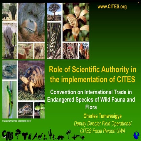 Role of the Scientific Authority