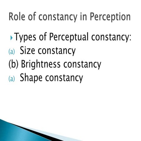 Role of size constancy in perception
