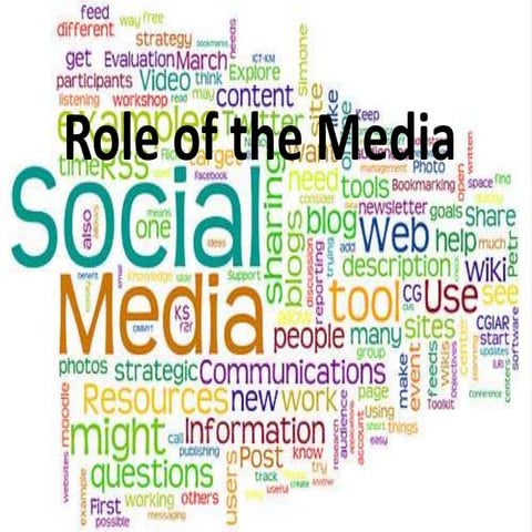 Role of Media Anderson Fuller Period 4