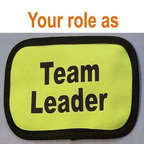 Role of Team Leader