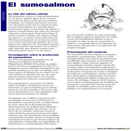 Role play  el sumosalmon