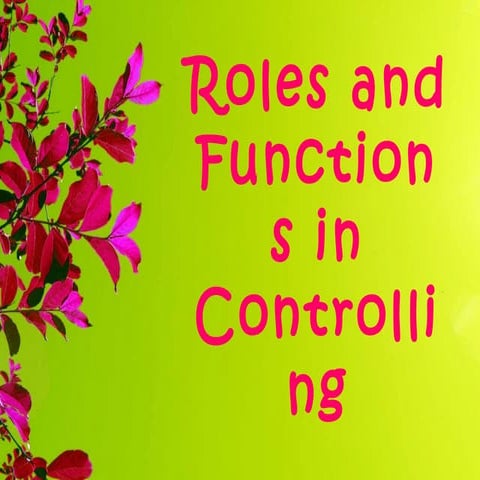 Roles and Functions in Controlling