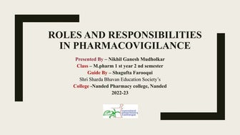 Roles and responsibilities in P.V.