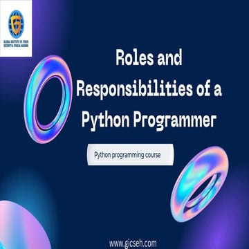 Roles and Responsibilities of a Python Programmer.pdf