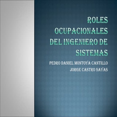 Roles  Del Ingeniero De Sistemas