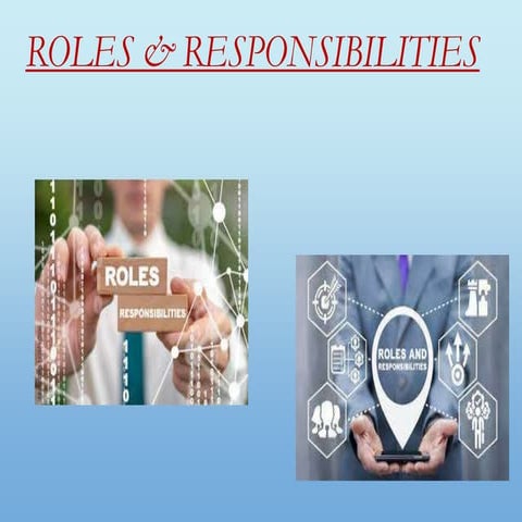 organisation Roles & Responsibility.pptx