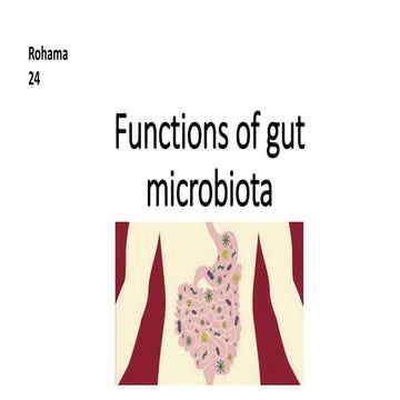 functions of gut flora 