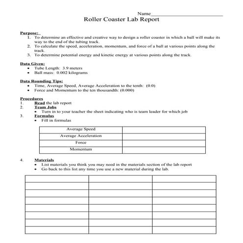 Roller coaster lab report 2010