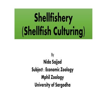 Shellfish Culturing