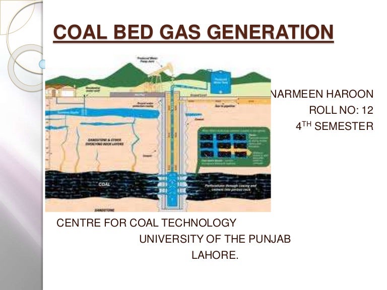 COAL BED GAS GENERATION