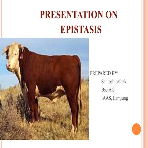 Presentation on Epistasis