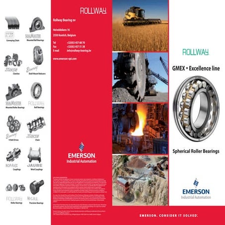 Rollway Bearing Brochure | PDF