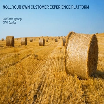 Roll Your Own Customer Experience Platform By Cleve Gibbon