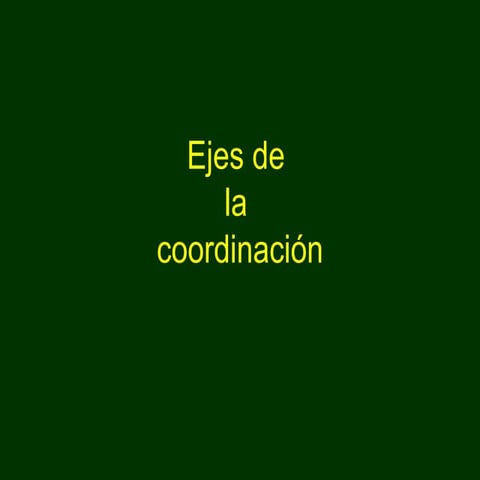 Rol Y Proyecto De Cooordinadores