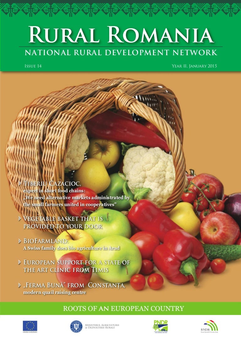Short Food Chain Interview With Tiberiu Cazacioc In Rural Romania