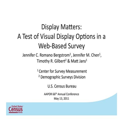 Display Matters: A Test of Visual Display Options in a Web-Based Survey
