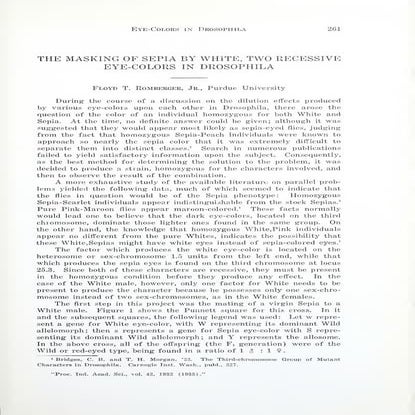 Romberger  1933 drosophila