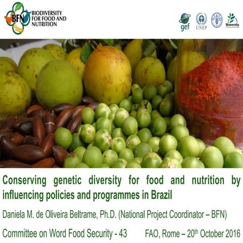 Conserving genetic diversity for food and nutrition in Brazil
