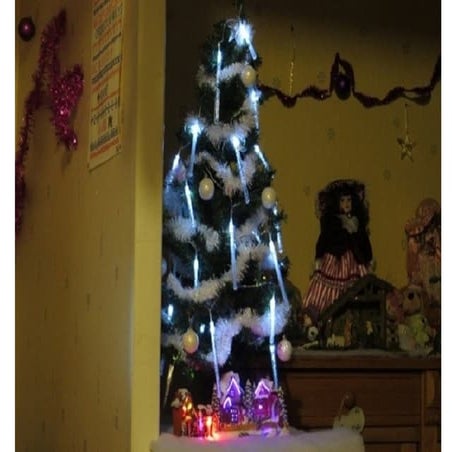 Ronde des sapins 2014