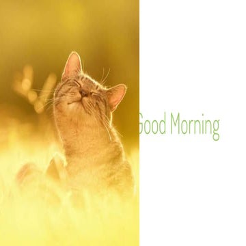 Theories of growth and development