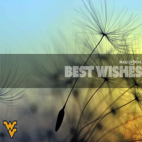 Make-A-Wish Presentation