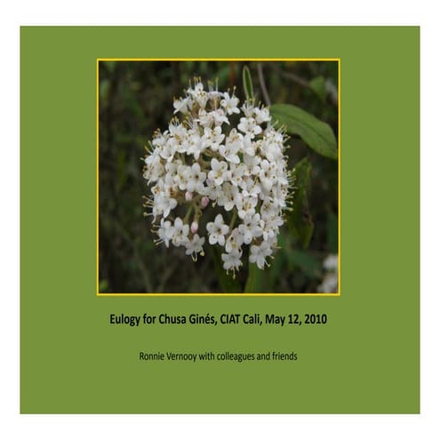 Eulogy for Chusa Ginés, CIAT Cali, May 12, 2010