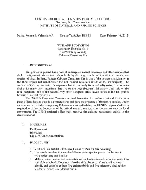 Wetland Ecosystem Docx Wetland Ecosystem Docx