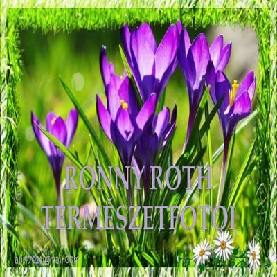 Ronny roth természetfotoi+ani (nx power lite)