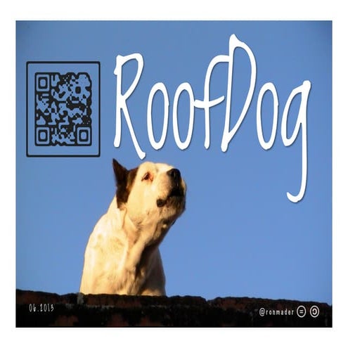 RoofDog