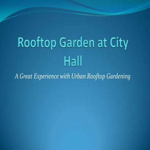Rooftop garden at city hall