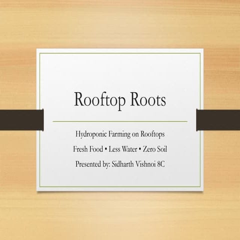 Rooftop_Roots_Startup_Presentation.pptxe | PPTX