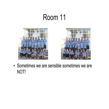 Room 11 Term 2 Round up