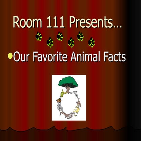 Room 111 Favorite Animals