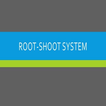Root shoot system