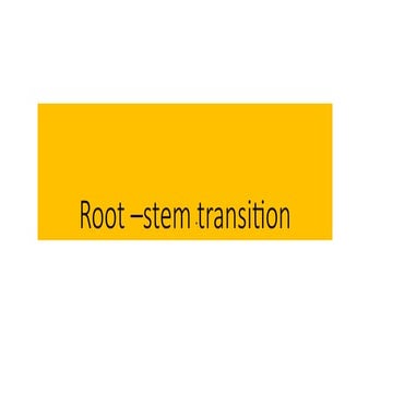 Root stem transition | PPTX