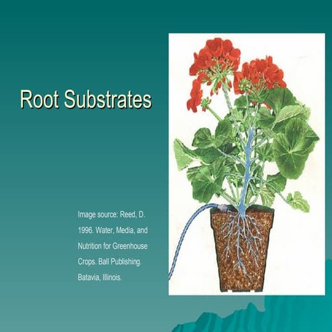 Root  Substrate