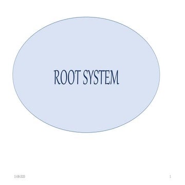 Root and shoot system of Angiosperm plants. - By Dr. Amutha Swaminathan