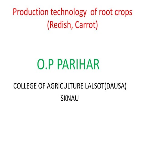 Production technology  of root crops (Redish, Carrot)