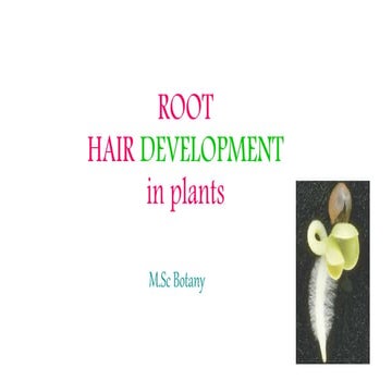 ROOT HAIR DEVELOPMENT IN PLANTS