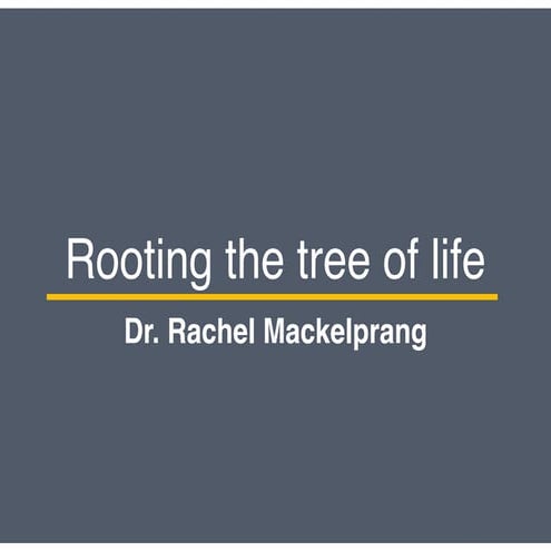 Microbial Diversity Part 5: Rooting the Tree of Life