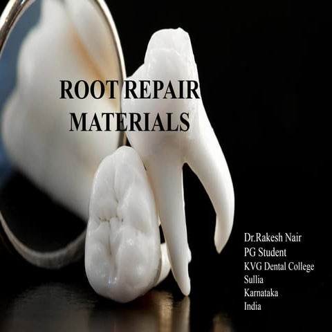 Root repair materials